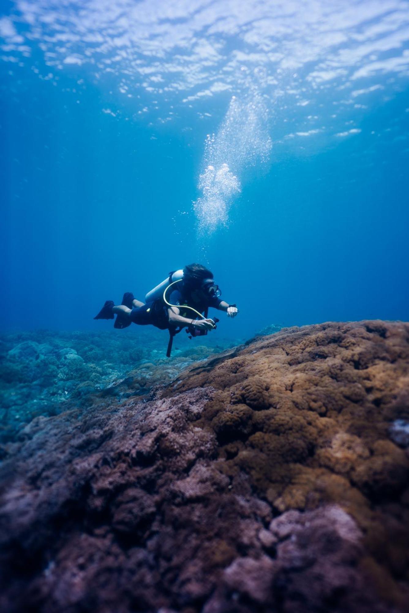 Deep Roots Dive & Yoga Resort Ped Екстер'єр фото